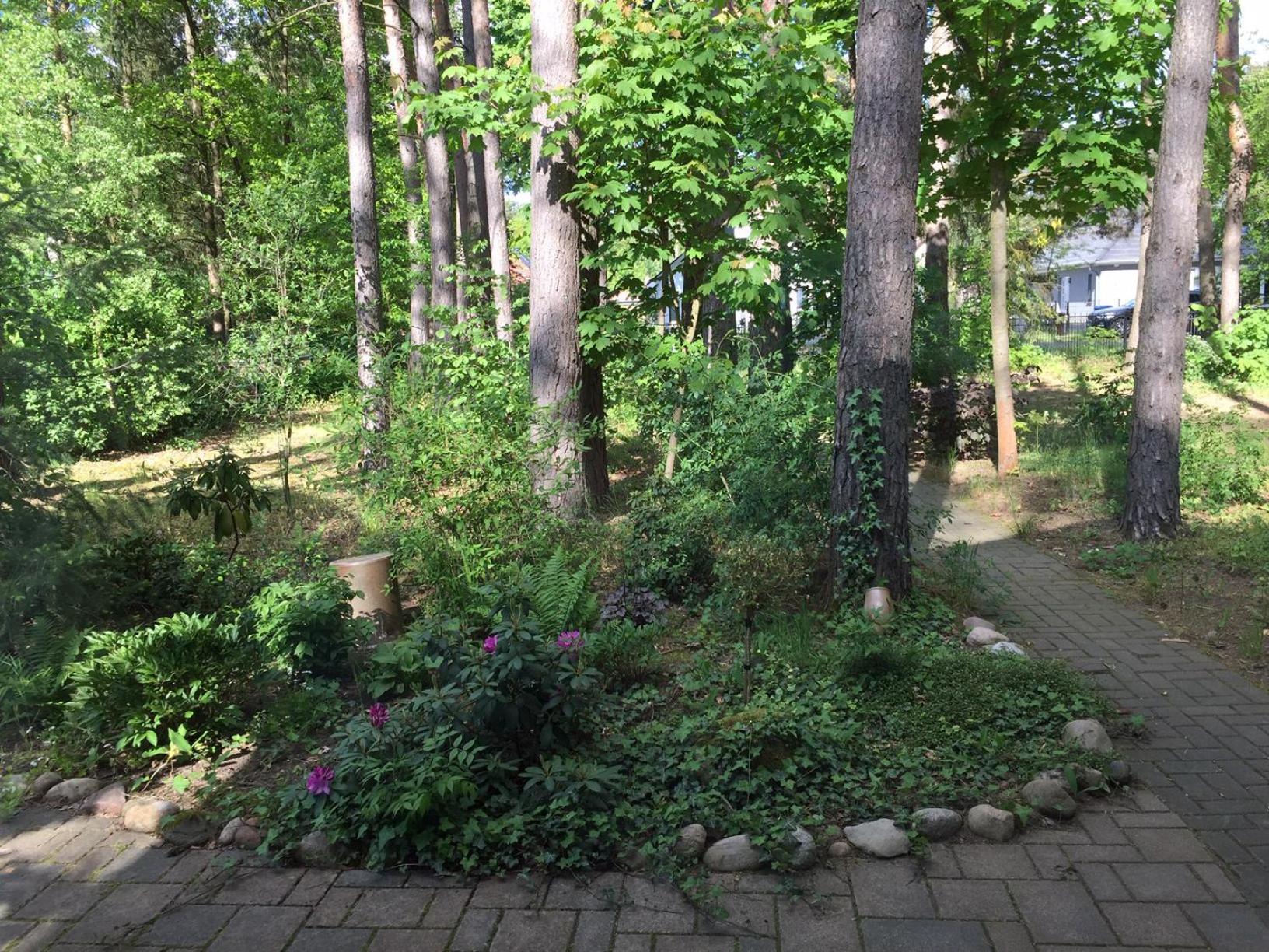 Wald Und Wohlsein Villa Beelitz Ngoại thất bức ảnh